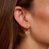 Pendientes Pequeños Colmania