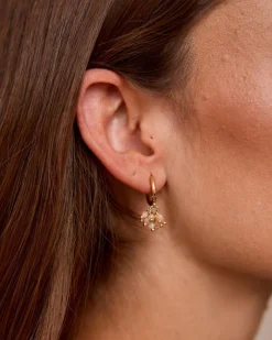Pendientes Pequeños Colmania