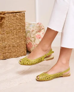 Zapato Trenzado Minia